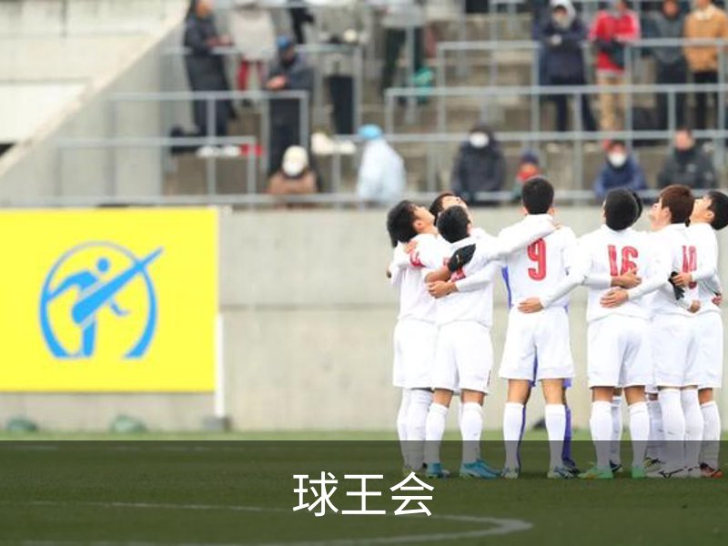 关于球王会